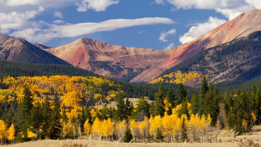 Best and Worst Seasons to Move in Colorado 3 | Choice Moving Company