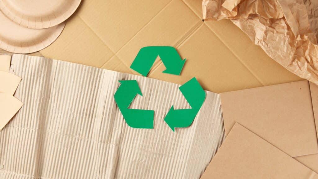 Eco Friendly Moving Sustainable Practices for Your Relocation 3 | Choice Moving Company